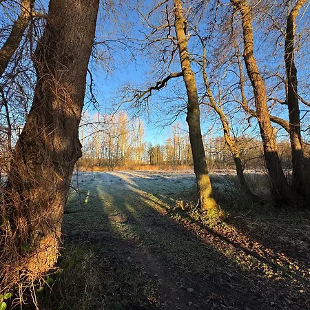 Prázdninový dům Waldweg 34 *