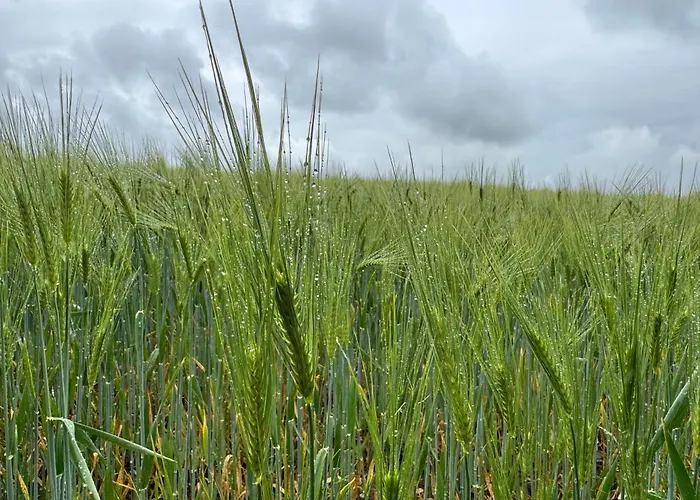 Casa de Férias Waldweg 34 *